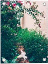 WallClassics - Poster de Jardin - Fleurs Roses à Suspendre - 30x40 cm Photo sur Poster de Jardin (décoration murale pour l'extérieur et l'intérieur)