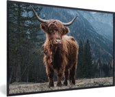 60 cm x 40 cm