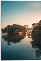 WallClassics - Dibond - Begroeid Scheepswrak in het Water  - 50x75 cm Foto op Aluminium (Wanddecoratie van metaal)