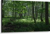 WallClassics - Toile - Divers Arbres verts dans la forêt - 120x80 cm Tableau sur toile (Décoration murale sur toile)