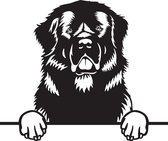 LBM Newfoundlander hond decoratie groot-zwart