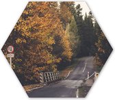 Hexagon wanddecoratie - Kunststof Wanddecoratie - Hexagon Schilderij - Bomen - Weg - Herfst - 75x65 cm