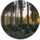 WallClassics - PVC Schuimplaat Muurcirkel - Bos met Kleine en Grote Bomen - 70x70 cm Foto op Muurcirkel (met ophangsysteem)