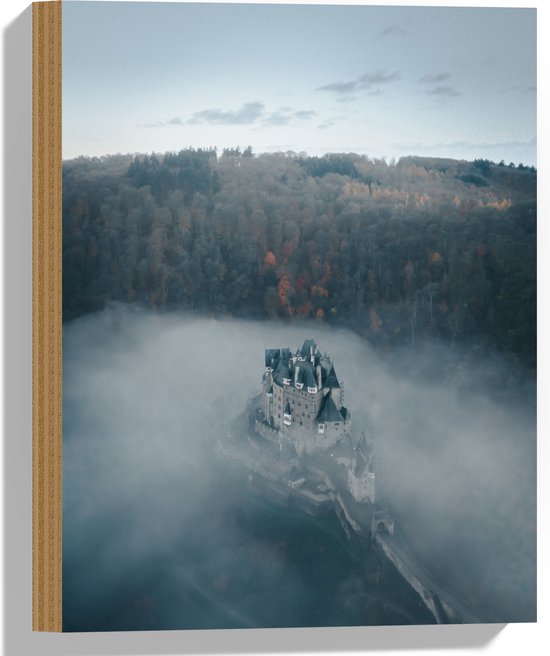 WallClassics - Hout - Kasteel in de Mist tussen Bossen - 30x40 cm - 12 mm dik - Foto op Hout (Met Ophangsysteem)