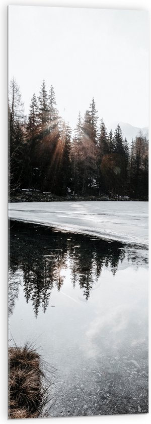 WallClassics - Acrylglas - Zon door Boomtoppen in de Sneeuw - 40x120 cm Foto op Acrylglas (Wanddecoratie op Acrylaat)