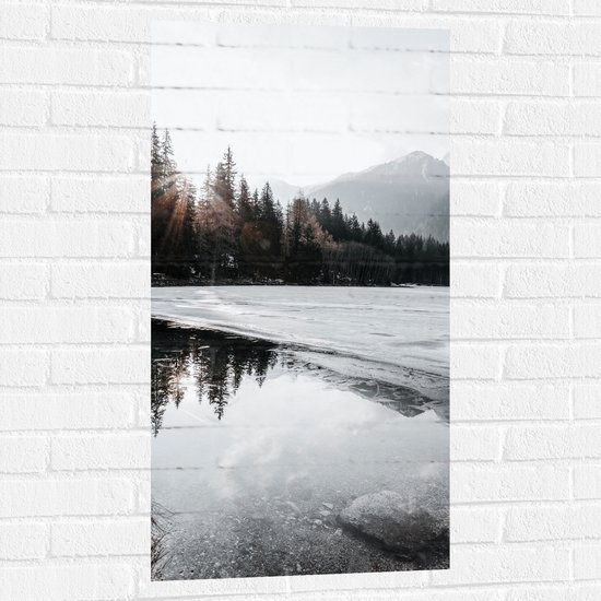 WallClassics - Muursticker - Zon door Boomtoppen in de Sneeuw - 50x100 cm Foto op Muursticker