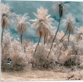 WallClassics - Acrylglas - Witte Palmbomen - 50x50 cm Foto op Acrylglas (Met Ophangsysteem)