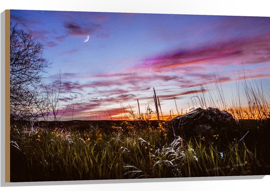 WallClassics - Hout - Roze Wolken in de Lucht - 105x70 cm - 12 mm dik - Foto op Hout (Met Ophangsysteem)