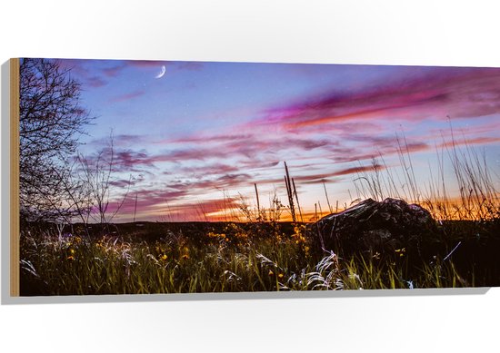 WallClassics - Hout - Roze Wolken in de Lucht - 100x50 cm - 12 mm dik - Foto op Hout (Met Ophangsysteem)