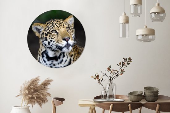 Wallpaper Circle - Léopard - Tête - Forêt - 100x100 cm - Wall Circle XXL