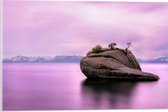 WallClassics - Verre acrylique - Rocher dans Water violette - Photo 60 x 40 cm sur verre acrylique (avec système de suspension)