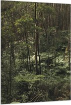 WallClassics - Drapeau - Jungle Verte - 100x150 cm Photo sur Drapeau Polyester