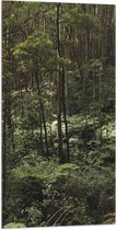 WallClassics - Drapeau - Jungle Verte - Photo 50x100 cm sur Drapeau Polyester