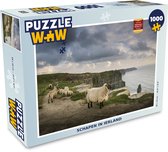 Puzzel Schapen in Ierland - Legpuzzel - Puzzel 1000 stukjes volwassenen
