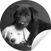 WallCircle - Behangcirkel - Zelfklevend behang - Dieren - Honden - Puppy - Zwart - Wit - 100x100 cm - Behangcirkel kinderkamer - Cirkel behang - Behangsticker
