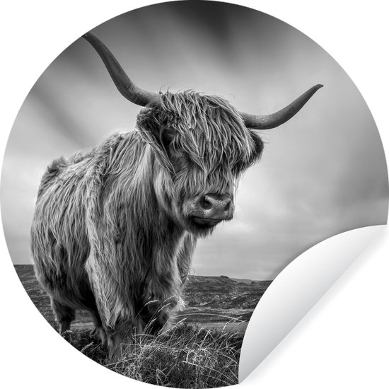 WallCircle - Behangcirkel - Cirkel behang - Schotse hooglander - Natuur ...
