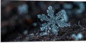 WallClassics - Dibond - Close up van Sneeuwvlok op Aarde - 100x50 cm Foto op Aluminium (Met Ophangsysteem)