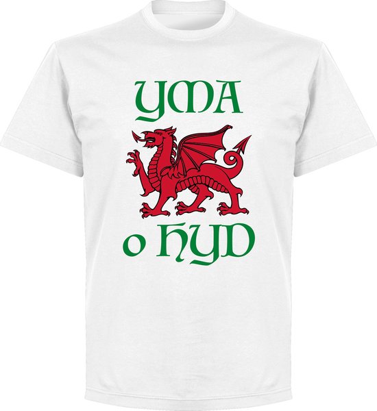 Wales Yma O Hyd Kinderen T-Shirt - Wit - Kinderen - 104