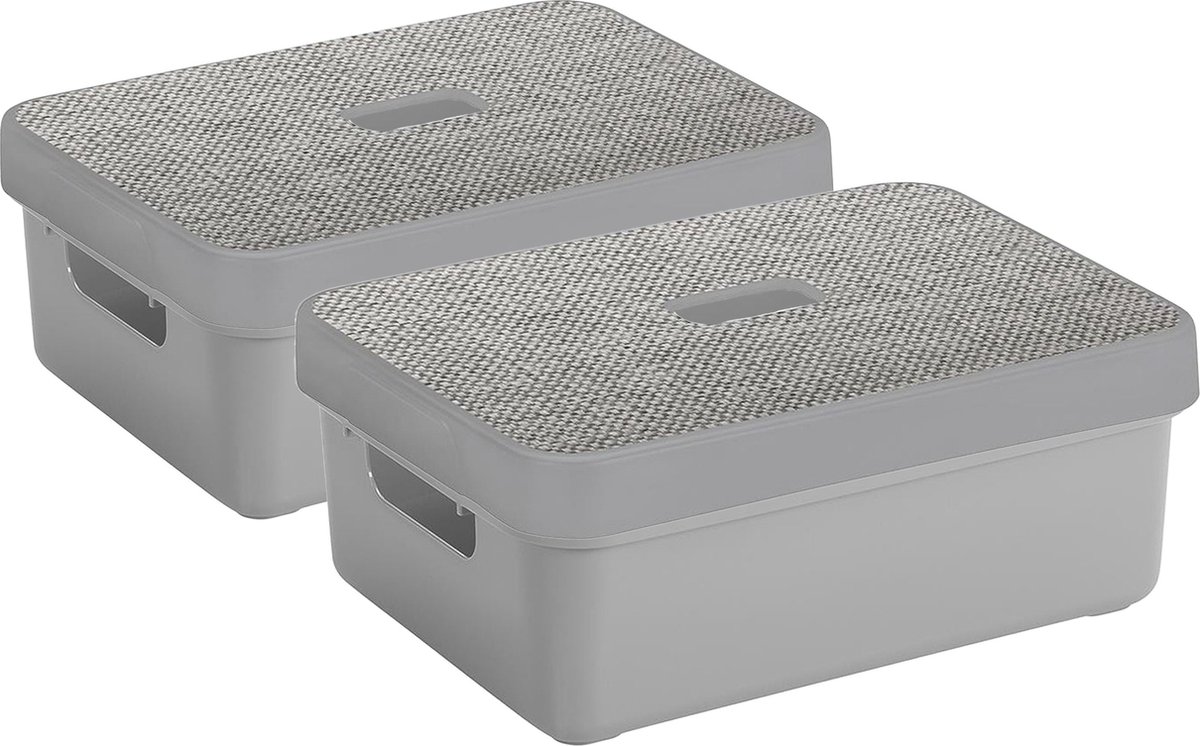 Sunware Opbergbox - 2x stuks - lichtgrijs - 9L - kunststof met deksels