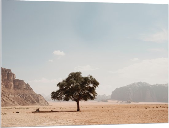 WallClassics - Acrylglas - Eenzame Boom in Woestijn - 100x75 cm Foto op Acrylglas (Wanddecoratie op Acrylaat)