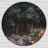 WallClassics - Muursticker Cercle - Forêt Vert Foncé - 100x100 cm Photo sur Muursticker