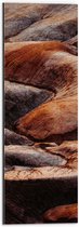 WallClassics - Dibond - Bruin Kloof - 20x60 cm Foto op Aluminium (Met Ophangsysteem)