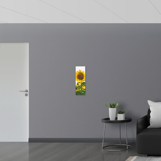 WallClassics - Verre acrylique - Gros plan d'un tournesol dans un champ - Photo 20 x 60 cm sur verre acrylique (avec système de suspension)