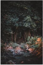 WallClassics - Poster (Matte) - Forêt Vert Foncé - 40x60 cm Photo sur Papier Poster avec un aspect Mat