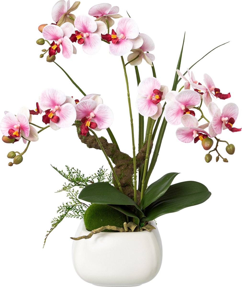 Orchidées artificielles fuchsia 35cm - Cdiscount Maison