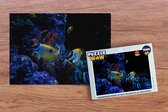 Puzzel Aquariumvissen in een aquarium in Singapore. - Legpuzzel - Puzzel 1000 stukjes volwassenen