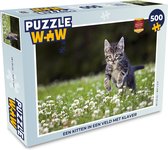 Puzzle Un chaton dans un champ avec trèfle - Puzzle - Puzzle 500 pièces