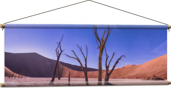 WallClassics - Affiche Textile - Dead Vlei Dune - 120x40 cm Photo sur Textile