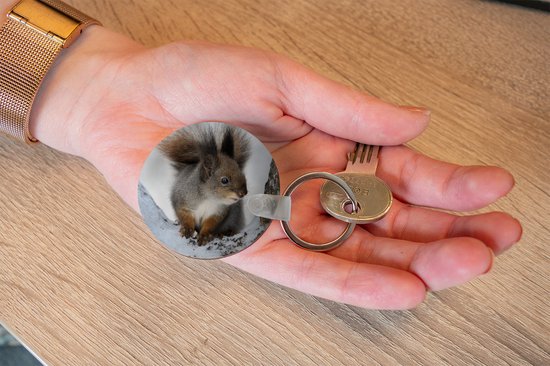 Porte-clés - Écureuil - Animal - Arbre - Hiver - Plastique - Rond - Cadeaux à distribuer