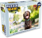 Puzzel Een Labrador Retriever met mooie bloemen - Legpuzzel - Puzzel 500 stukjes