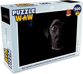 Puzzel Een zwarte Labrador Retriever op een zwarte achtergrond - Legpuzzel - Puzzel 500 stukjes