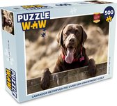 Puzzel Labrador Retriever die over een omheining kijkt - Legpuzzel - Puzzel 500 stukjes