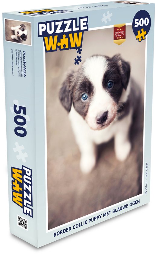 Puzzel Border collie puppy met blauwe ogen Legpuzzel Puzzel 500 stukjes