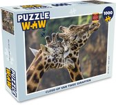 Puzzel Close-up van twee giraffen - Legpuzzel - Puzzel 1000 stukjes volwassenen