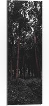 WallClassics - PVC Schuimplaat- Hoge Groene Donkere Bomen - 20x60 cm Foto op PVC Schuimplaat