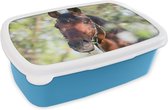 Lunch box Blauw - Lunch box - Boîte à pain - Paarden - Blossom - Printemps - Animaux - 18x12x6 cm - Enfants - Garçon