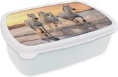 Broodtrommel Wit - Lunchbox Paarden - Zon - Zee - Strand - Dieren - Brooddoos 18x12x6 cm - Brood lunch box - Broodtrommels voor kinderen en volwassenen