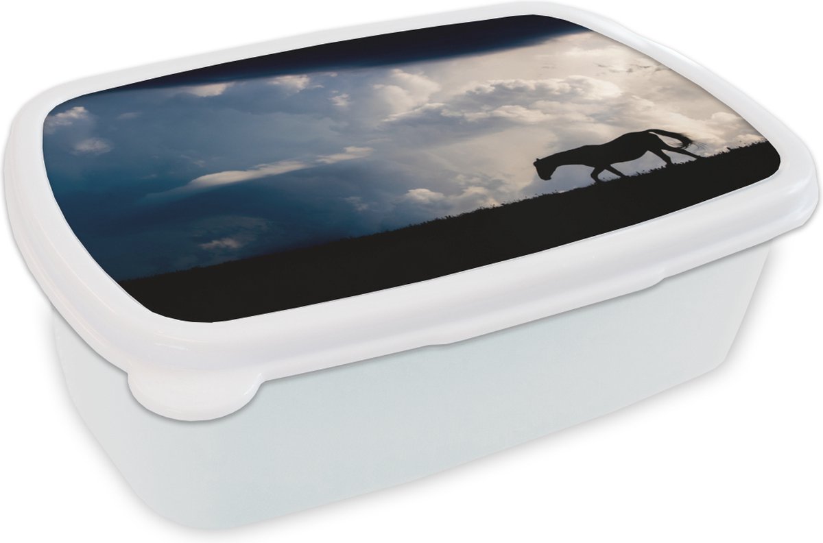 Broodtrommel Wit - Lunchbox - Brooddoos - Paard - Wolken - Schaduw - 18x12x6 cm - Volwassenen