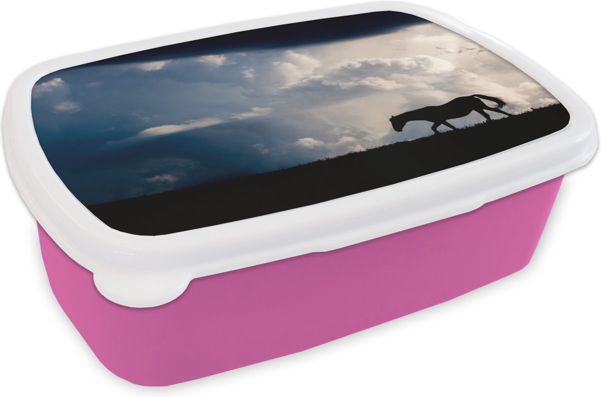 Broodtrommel Roze - Lunchbox - Brooddoos - Paard - Wolken - Schaduw - 18x12x6 cm - Kinderen - Meisje