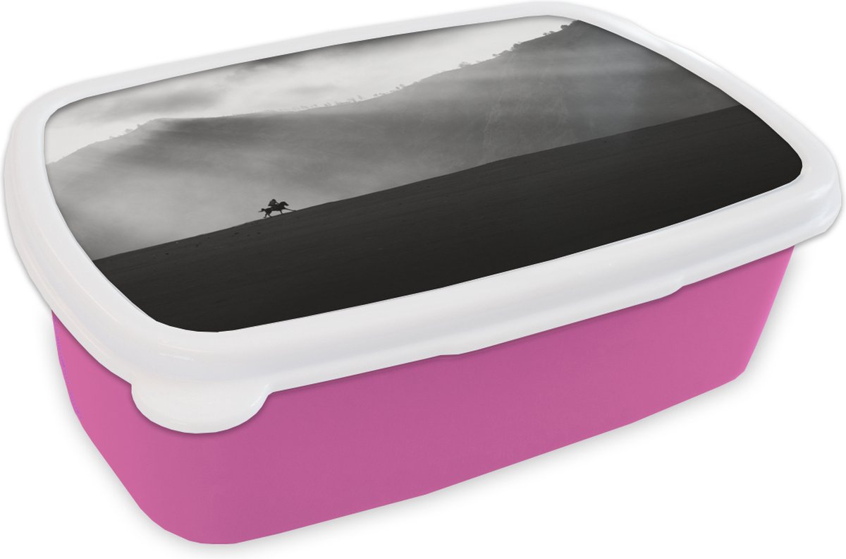 Broodtrommel Roze - Lunchbox - Brooddoos - Paard - Licht - Berg - 18x12x6 cm - Kinderen - Meisje