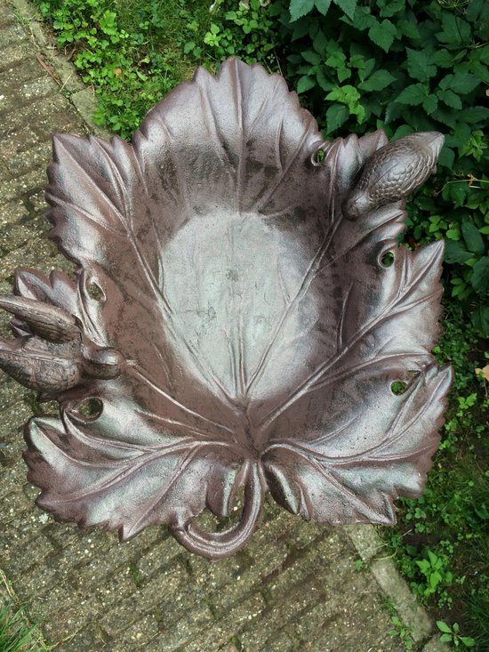 Vogelbad Für Käfig - 5er Set Badespielzeug Für Wellensittich & Papageien