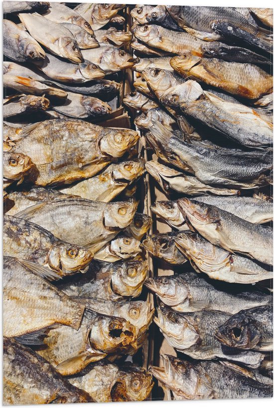 WallClassics - Vlag - Verse Vissen op een Vismarkt - 50x75 cm Foto op Polyester Vlag