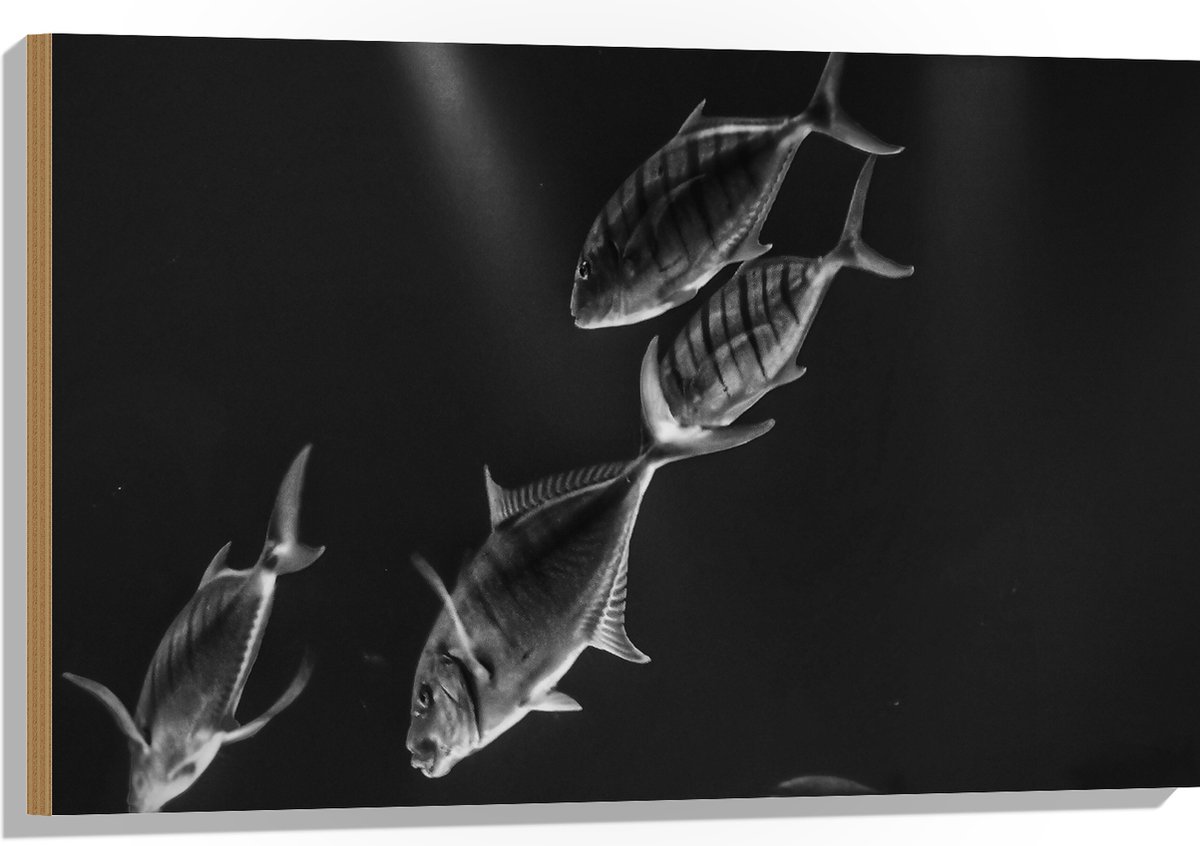 Hout - Vissen in het Aquarium Zwart - Wit - 90x60 cm - 12 mm dik - Foto op Hout (Met Ophangsysteem)