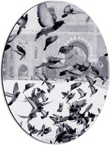 WallClassics - Dibond Ovaal - Vliegende Duiven in de Sneeuw - 42x56 cm Foto op Ovaal (Met Ophangsysteem)