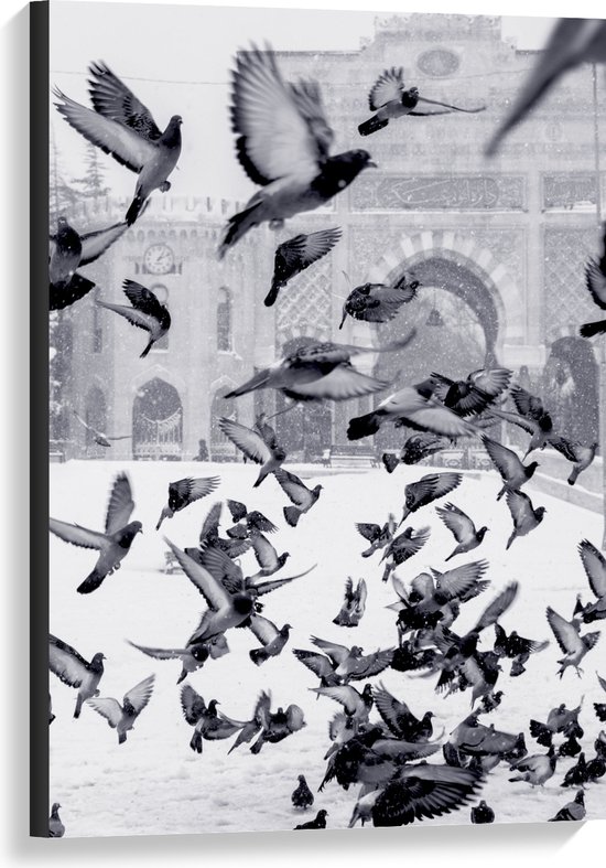 WallClassics - Toile - Pigeons volants dans la neige - 60x90 cm Tableau sur toile (Décoration murale sur toile)