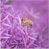 WallClassics - Poster Glanzend – Paarse Bloemen met Bij - 80x80 cm Foto op Posterpapier met Glanzende Afwerking